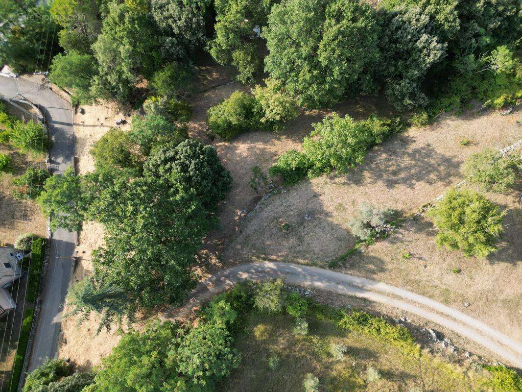 Terrain  constructible à vendre de 2 488 m² - photo 4