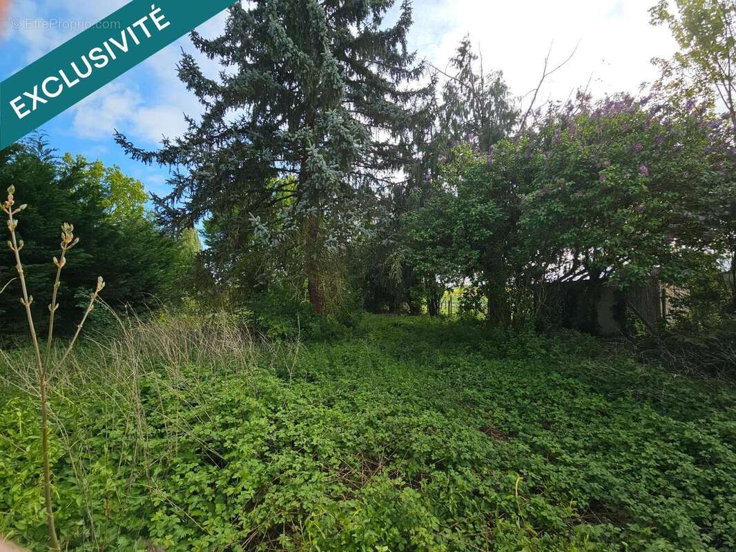 Photo 5 - Terrain à VILLIERS-SAINT-GEORGES