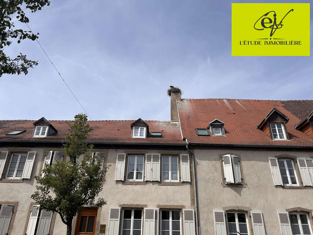 Appartement 255 m² à Sarralbe  - photo 2