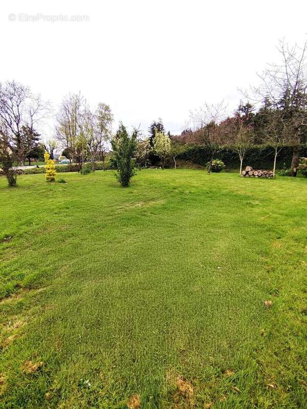 Photo 3 - Maison à MORTAIN