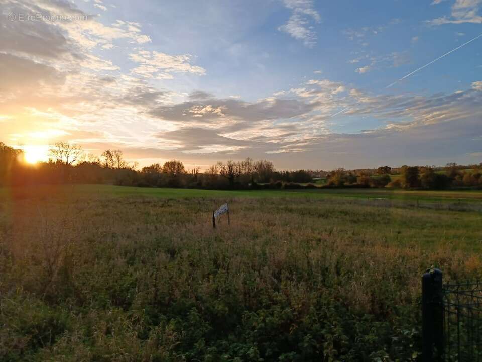 Terrain à MESNIERES-EN-BRAY