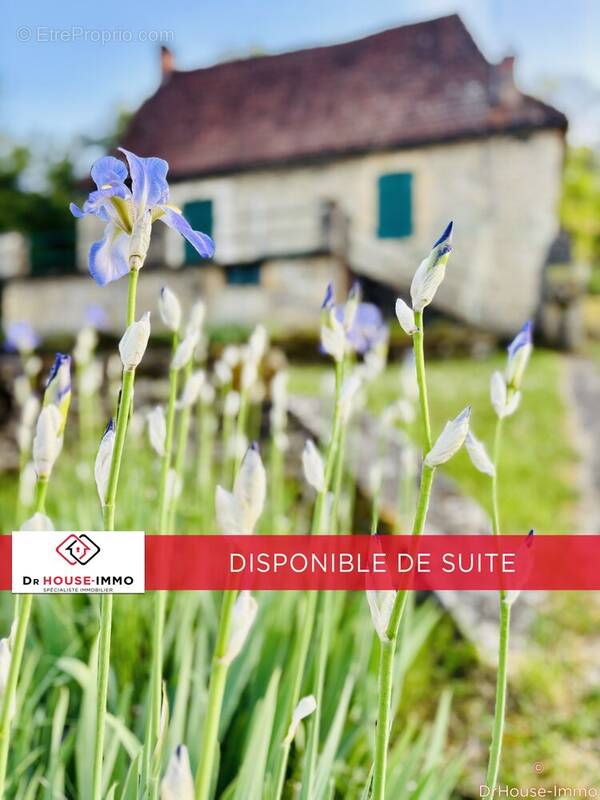 Maison à DAGLAN