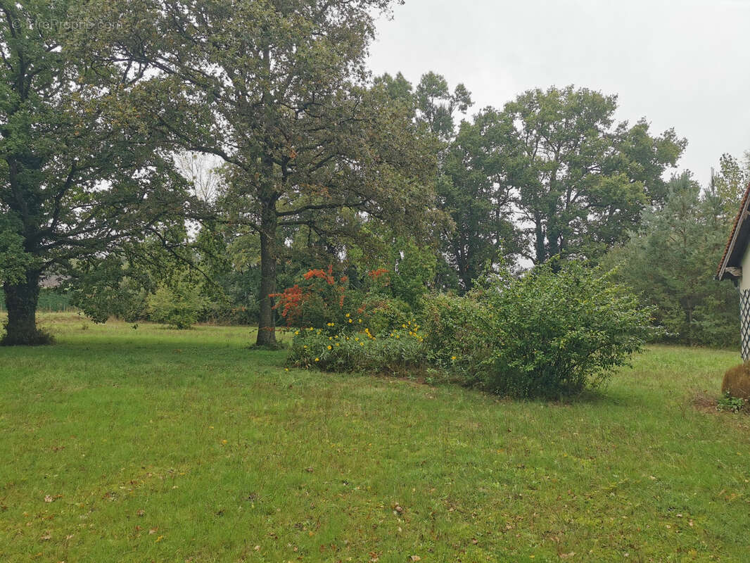 Maison à MENNETOU-SUR-CHER