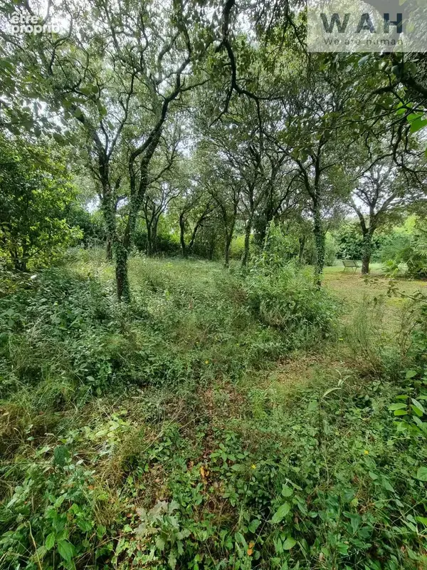 Vente terrain constructible  500m2  libre constructeur - 341 - photo 3