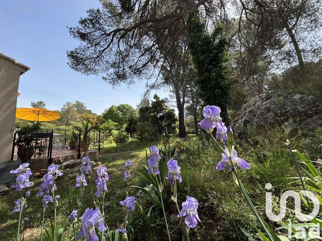 Photo 9 - Maison à PELISSANNE