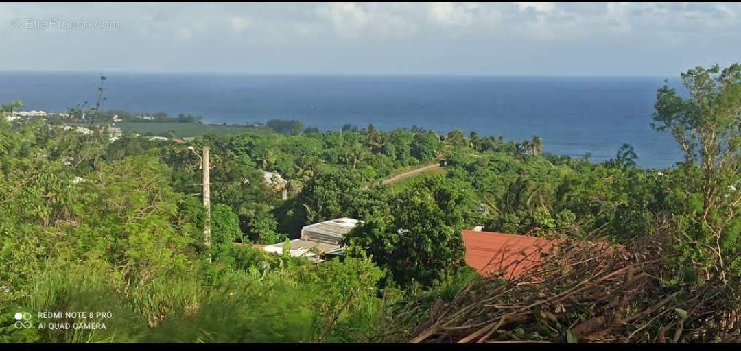 Terrain à SAINT-JOSEPH
