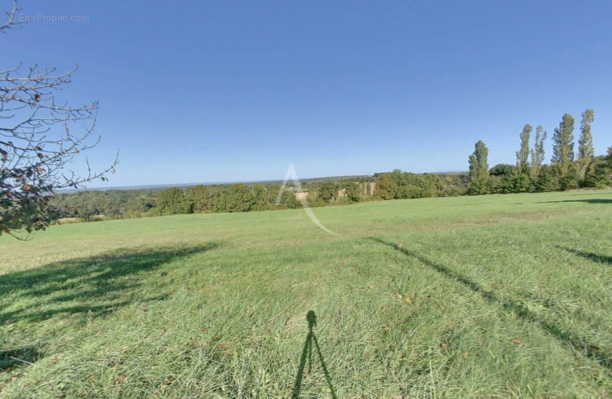 Terrain à MONTAUBAN