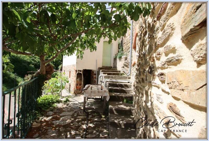 Maison en pierre à vendre 3 pièces TAULIS (66) avec 1377m2 de terrain - photo 6