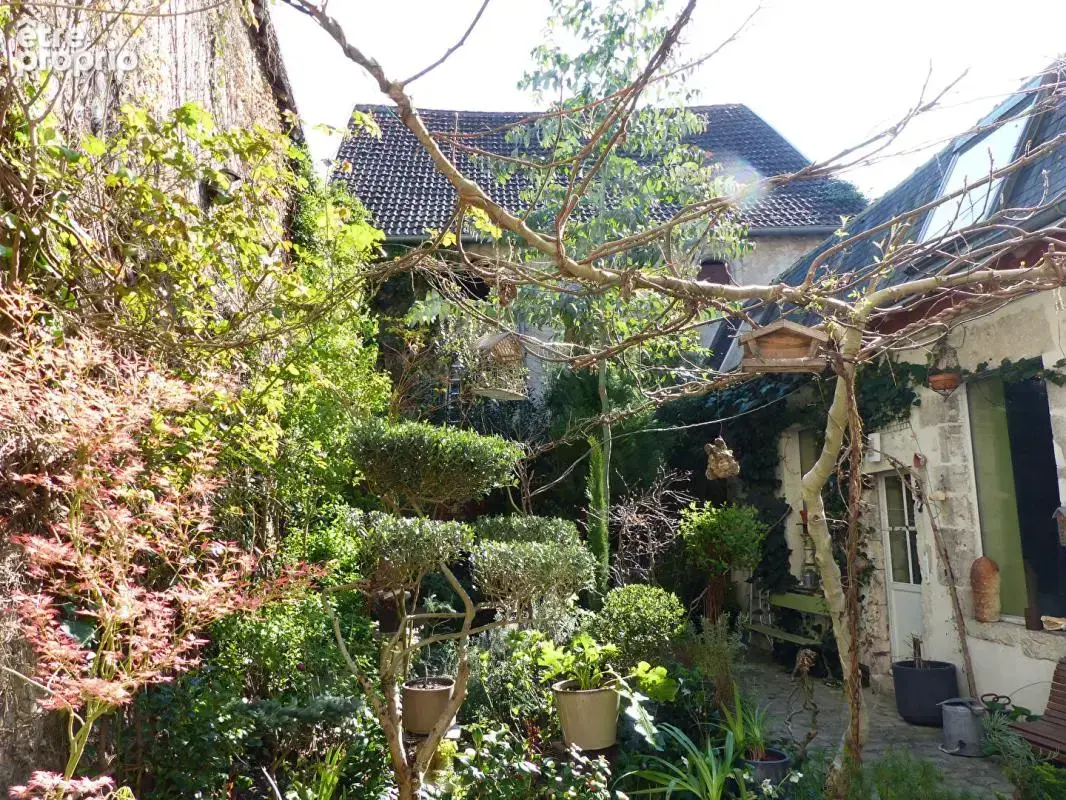 Viager occupé maison d'artiste chatillon sur loire - photo 3