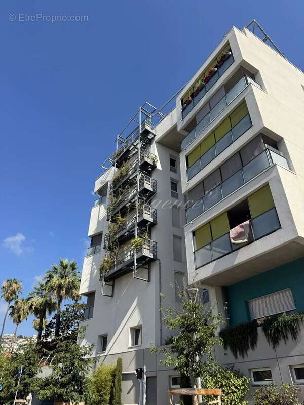 Gambetta trachel - photo 5