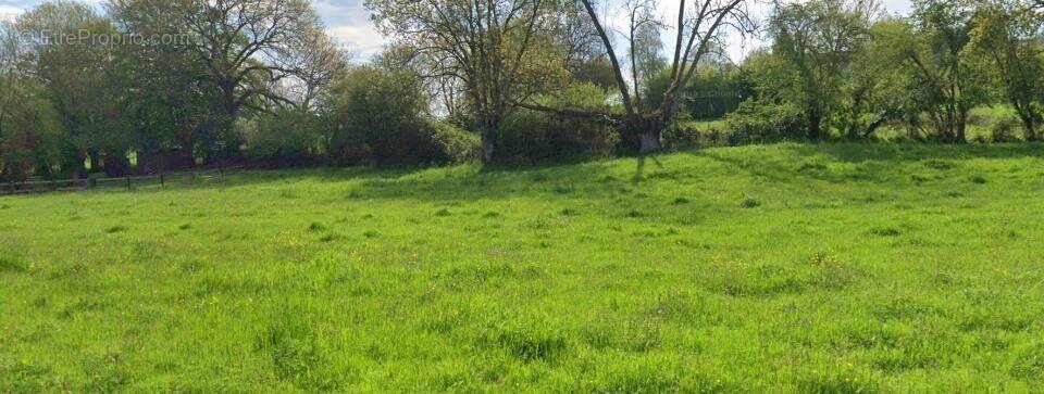 Terrain à RONCHEROLLES-EN-BRAY