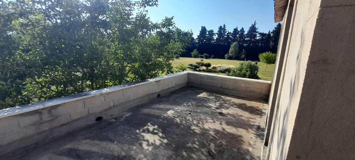 Mas provençal en pierre rénové   Piscine   1 hectare   Dépendance   Proche L’Isle-sur-la-Sorgue   Luberon - photo 20