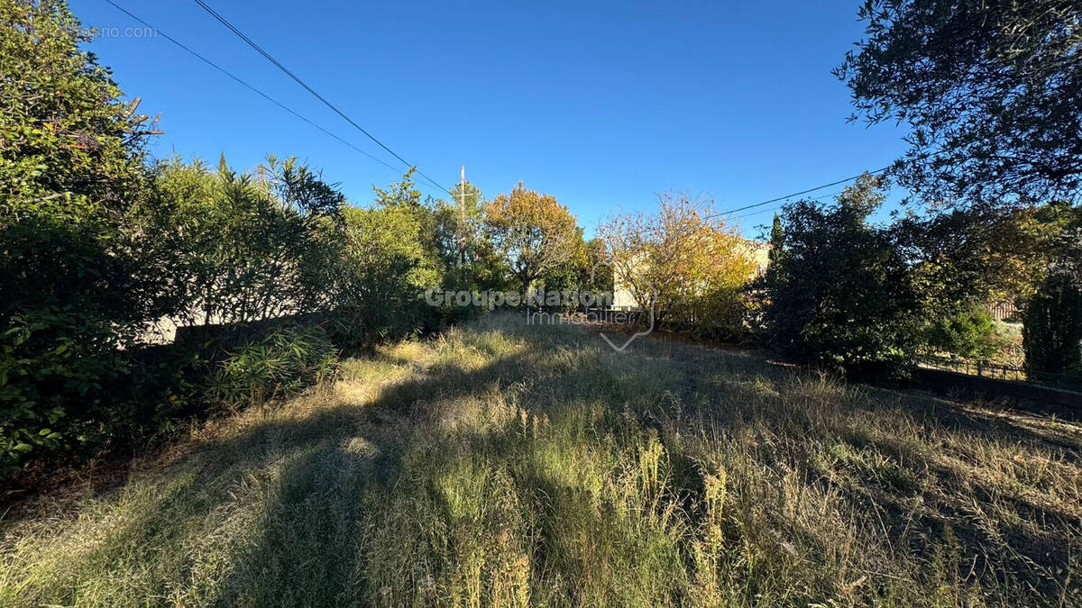 Terrain à CALVISSON