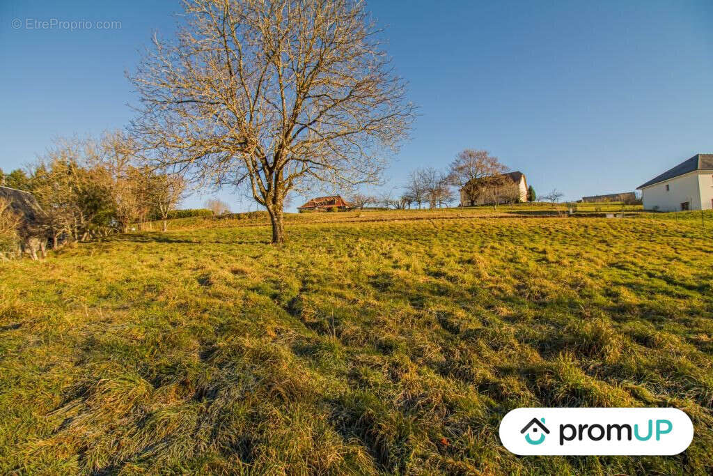 Terrain à SAINTE-FORTUNADE