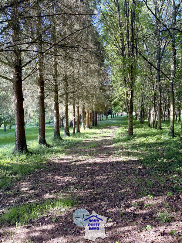 Terrain de loisirs avec plan d'eau - photo 7