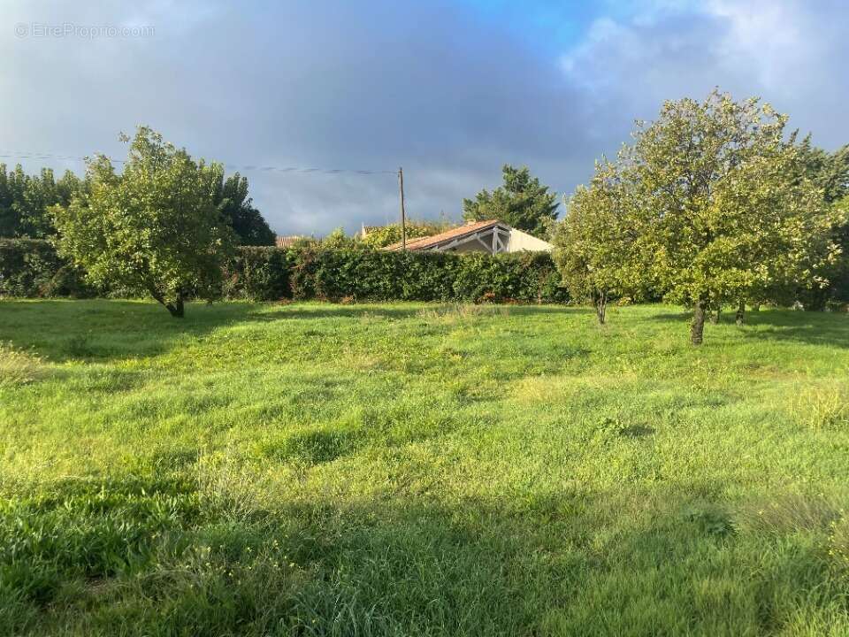 Terrain à MALLEMORT