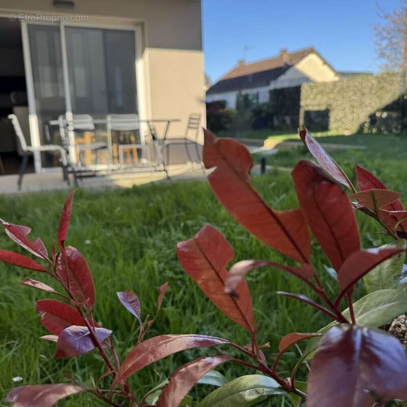VOTRE PETIT REFUGE À DINARD studioT 1 +100m2 d'extérieur +parking - photo 8