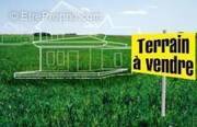 Terrain à LA SAUSSAYE
