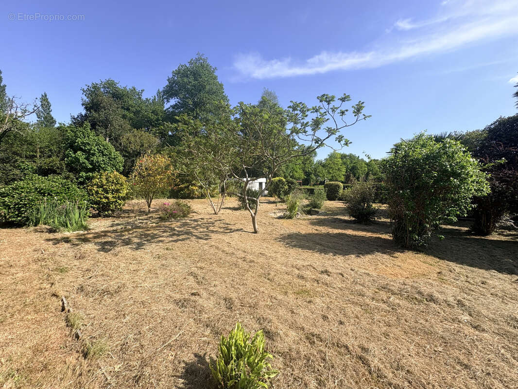 À vendre : Maison familiale des années 70 avec vie de plain-pied - photo 6