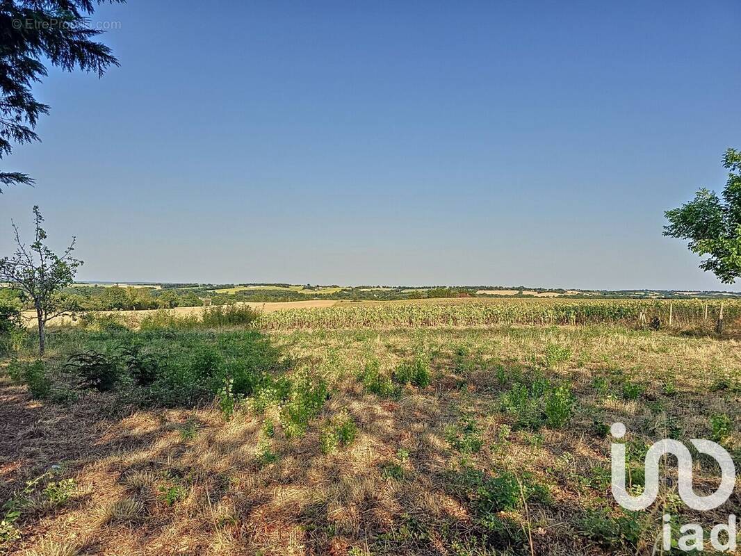 Photo 1 - Terrain à MAUVEZIN