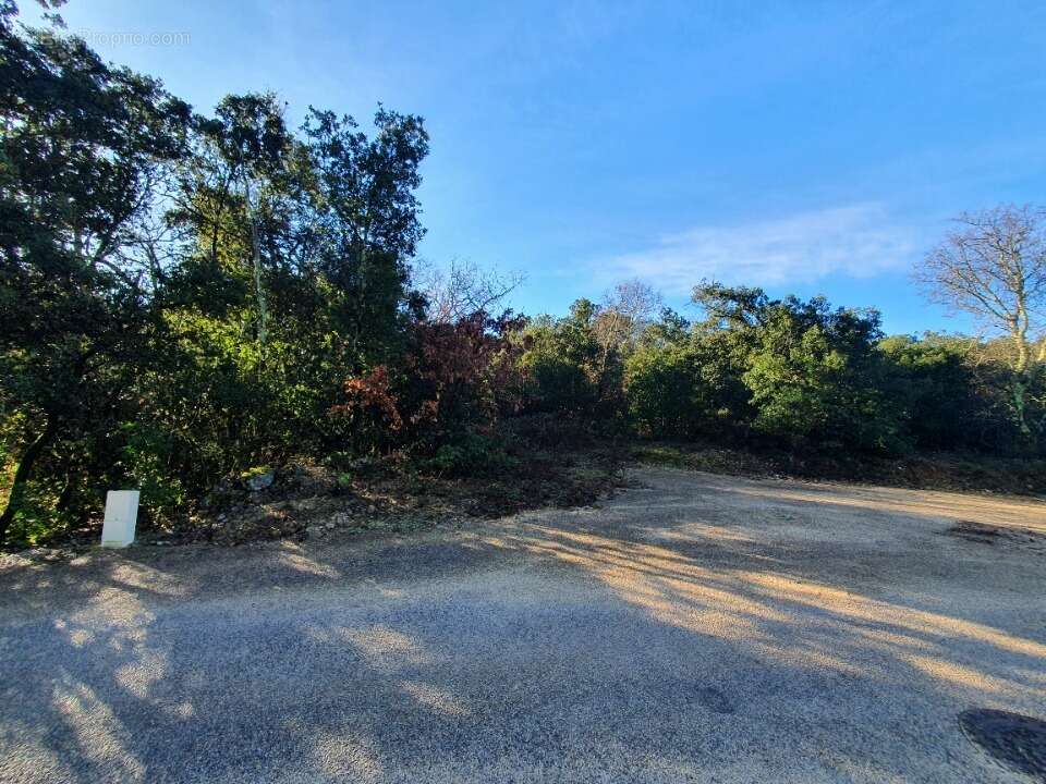 Terrain à LABASTIDE-DE-VIRAC