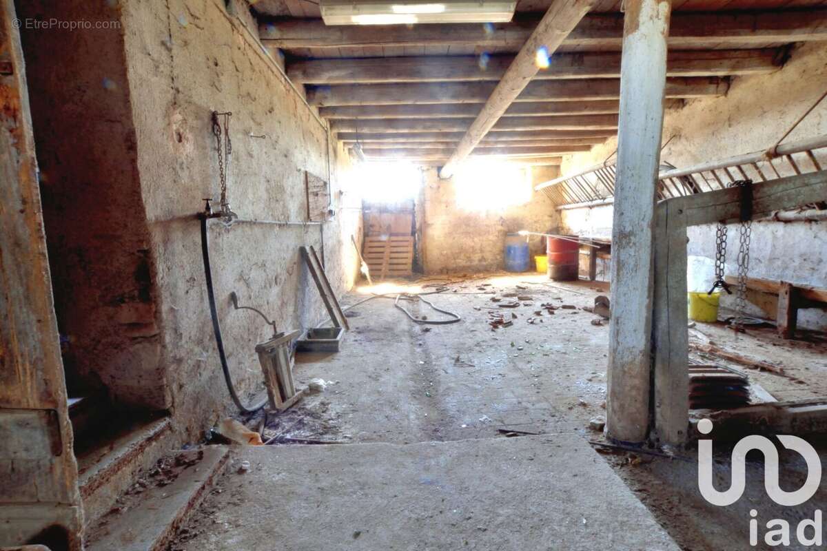 Photo 7 - Maison à PORT-SUR-SEILLE