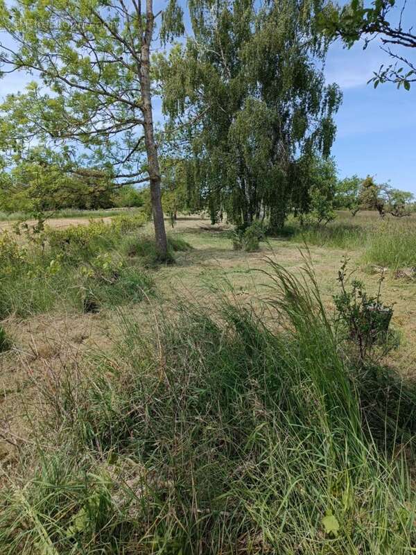 Terrain à EINVILLE-AU-JARD