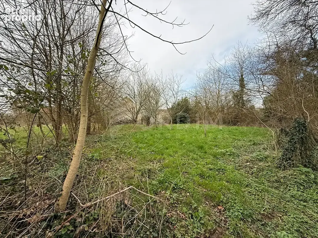 Maison ancienne avec dépendances sur 3 073 m² - Hameau de Treigny (89520) - photo 2