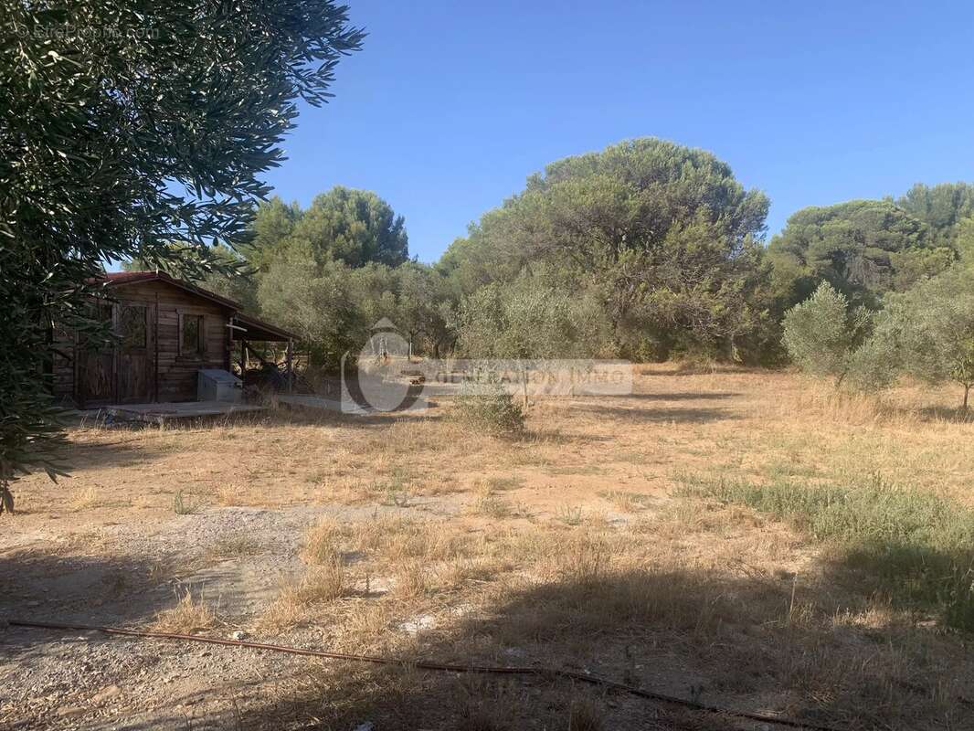 Villa T5 - Arles Pont de crau - photo 3