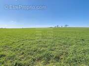 Terrain à SAINT-FELIX-LAURAGAIS