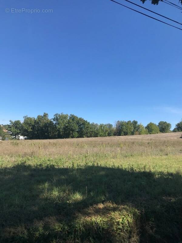 Terrain à PUYGOUZON