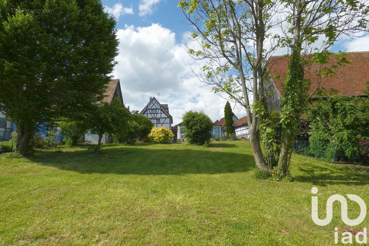 Photo 7 - Maison à FOLGENSBOURG