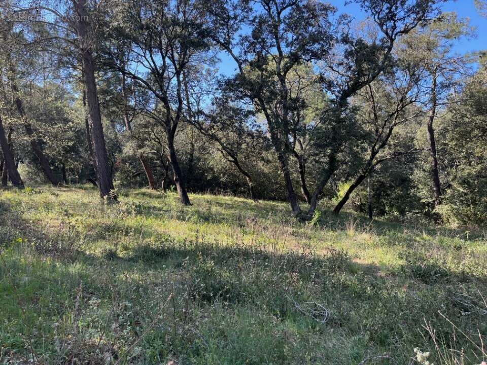 Terrain à SUZE-LA-ROUSSE