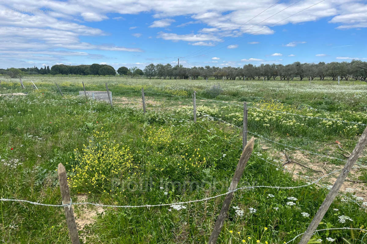 Terrain à MARSILLARGUES