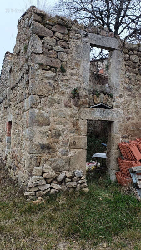 Terrain à USSON-EN-FOREZ