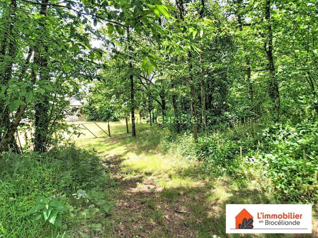 Belle longère familiale avec grand terrain et dépendances, au calme - photo 9
