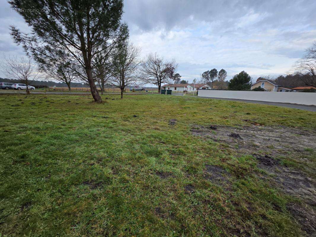 Terrain à BISCARROSSE