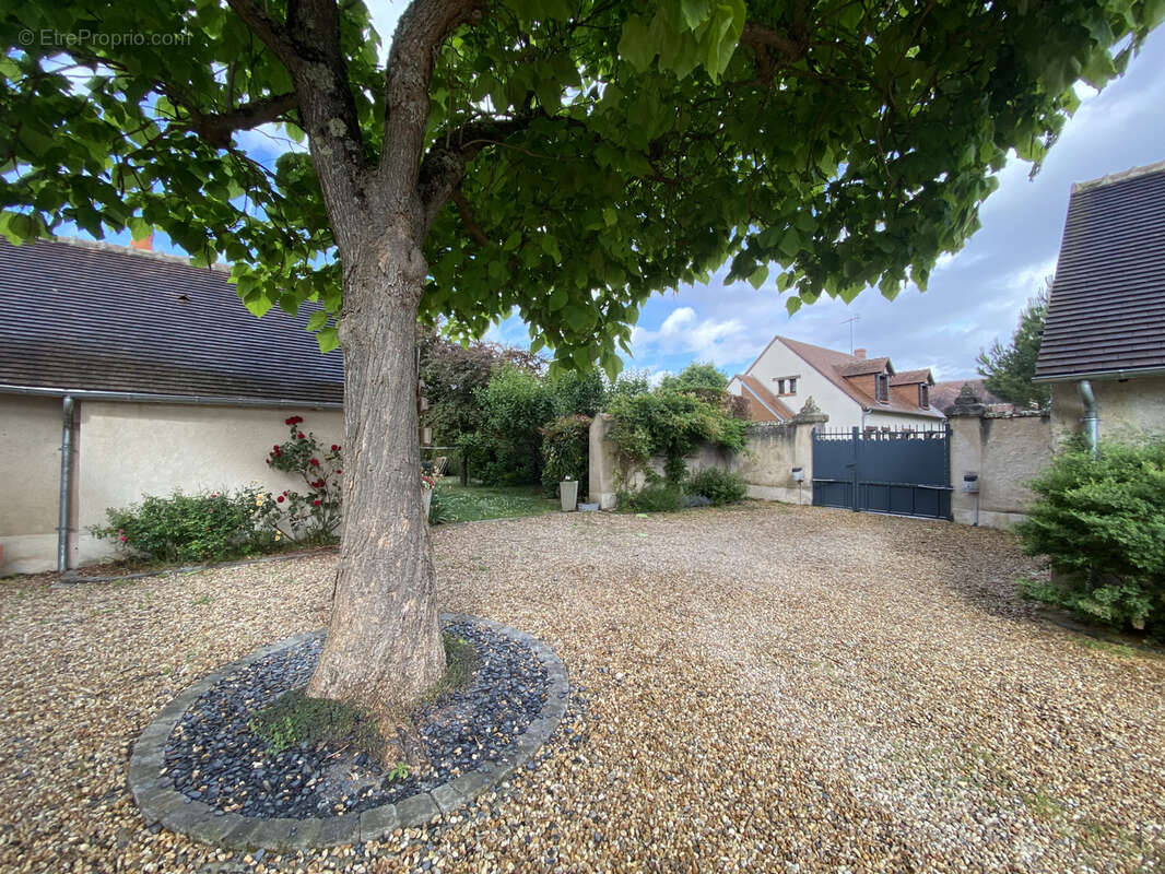 Maison à OLIVET