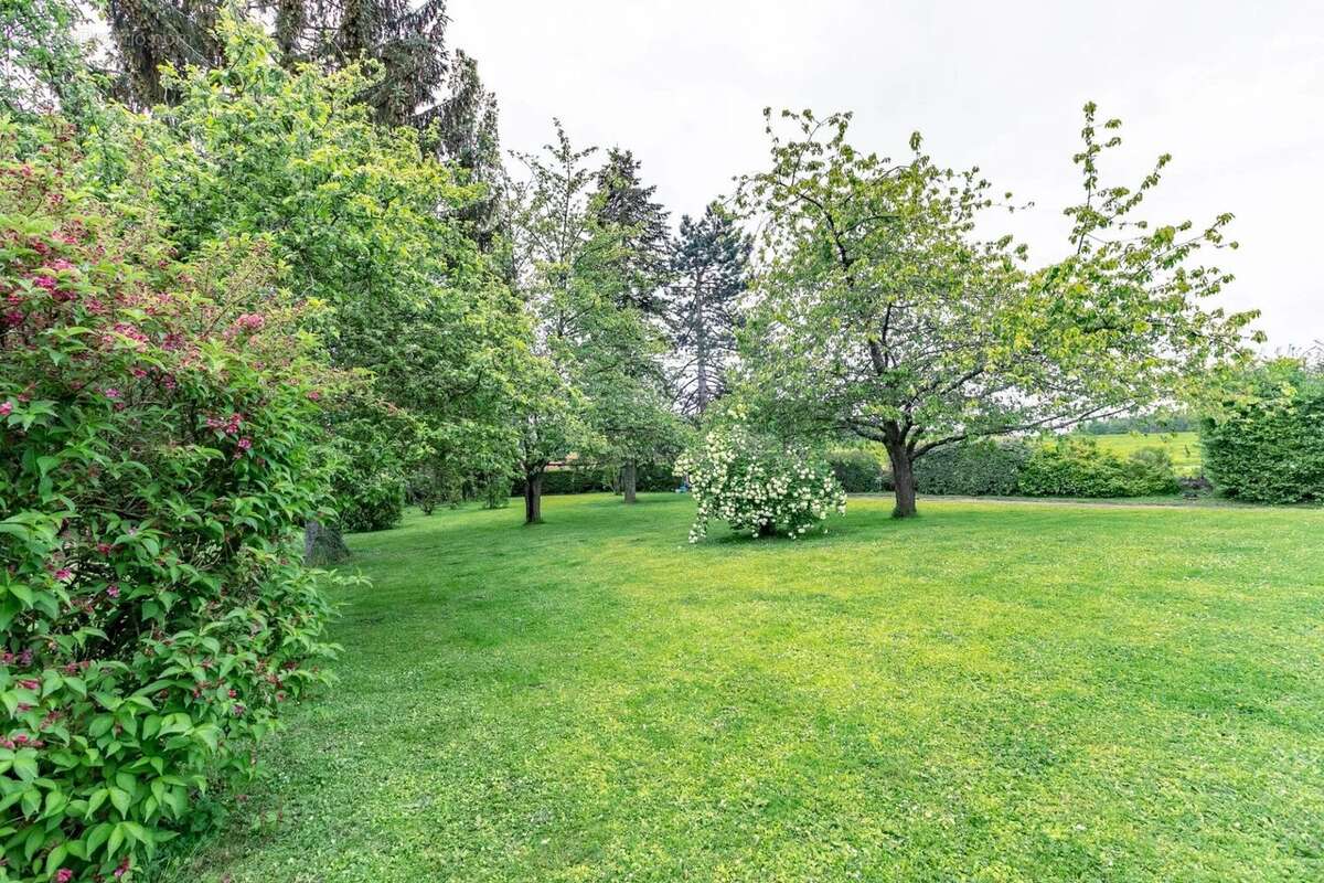 Maison à RIBECOURT-DRESLINCOURT