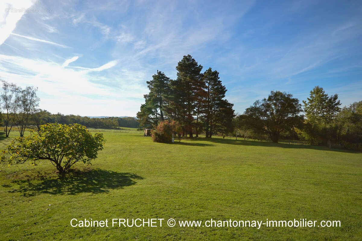 Maison à CHANTONNAY