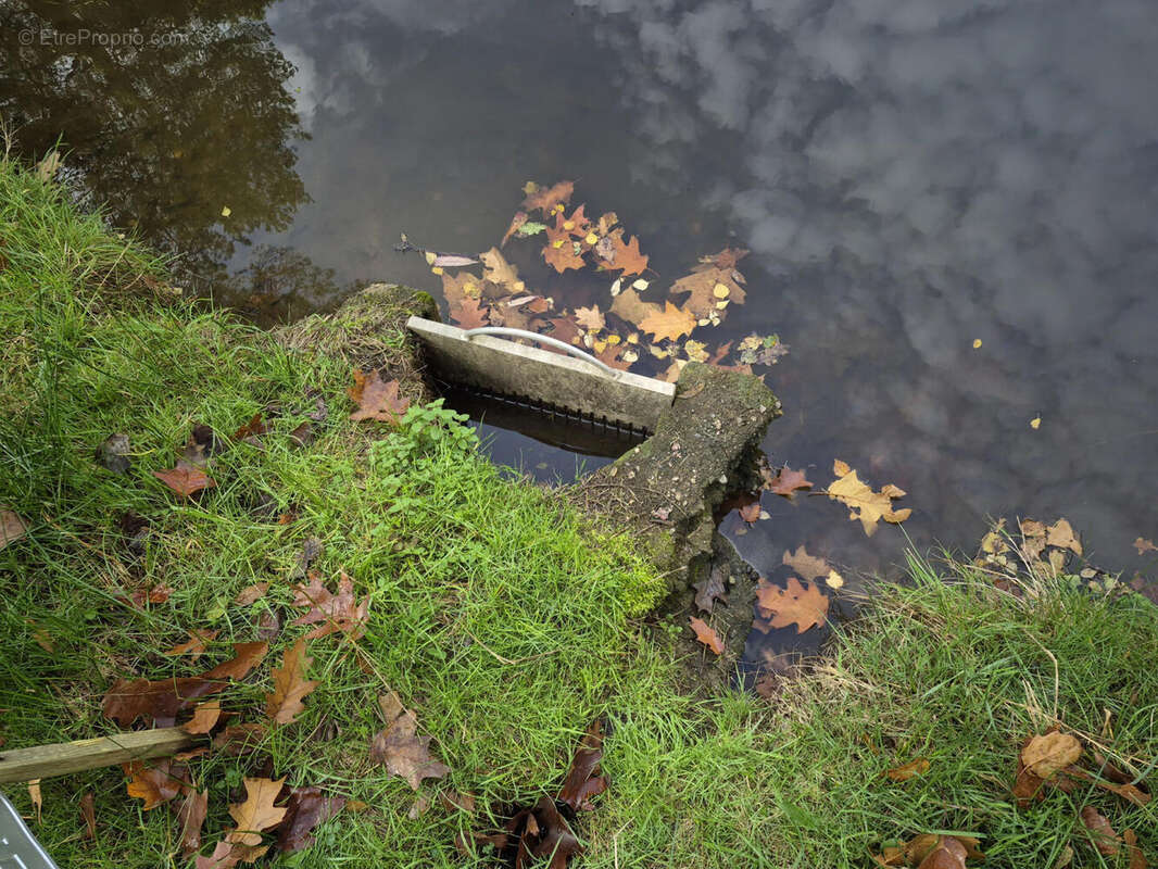 20251031_110015 - Terrain à PIEGUT-PLUVIERS