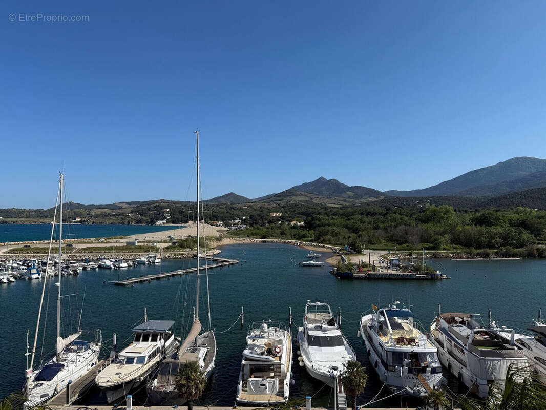 Photo 8 - Appartement à ARGELES-SUR-MER