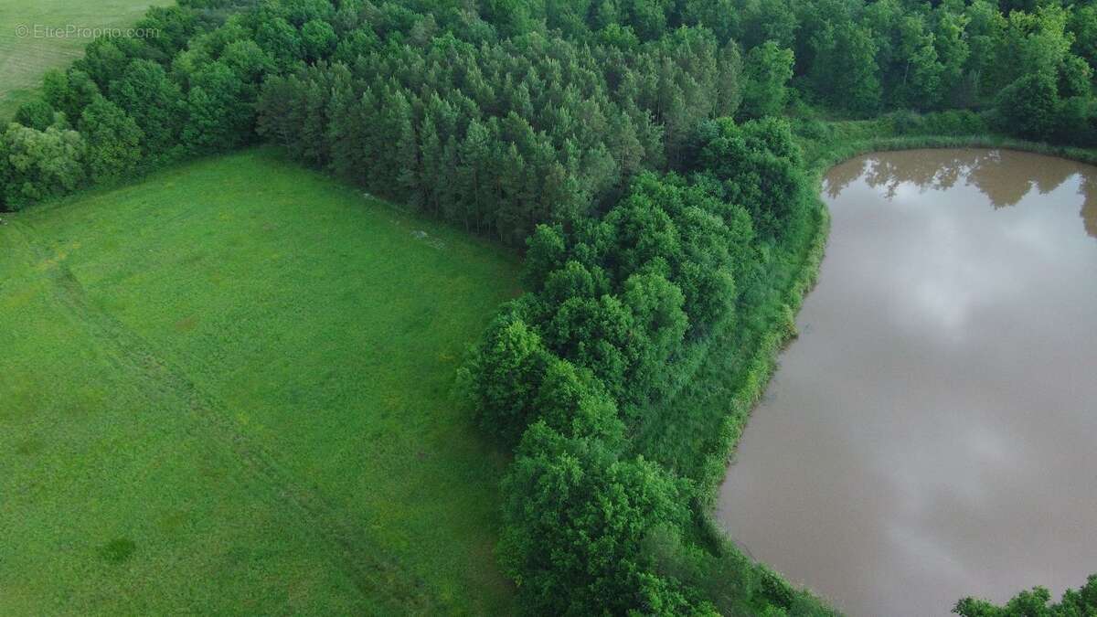 Terrain 25600 m² à Mur-De-Sologne  - photo 11