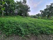 Terrain à GROS-MORNE