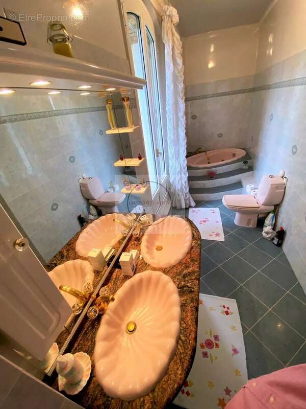 Propriete bourgeoise sur 1350 m² de terrain - photo 9