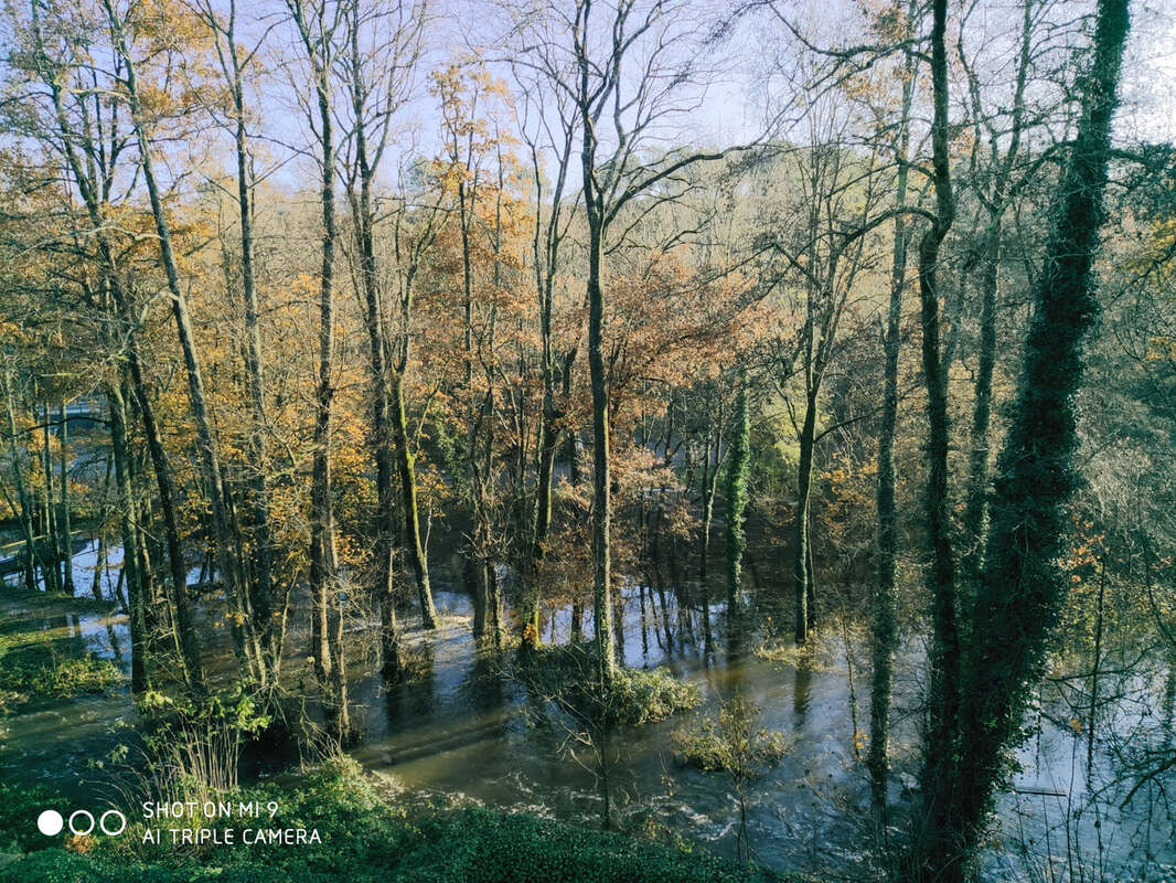 Appartement à MUZILLAC