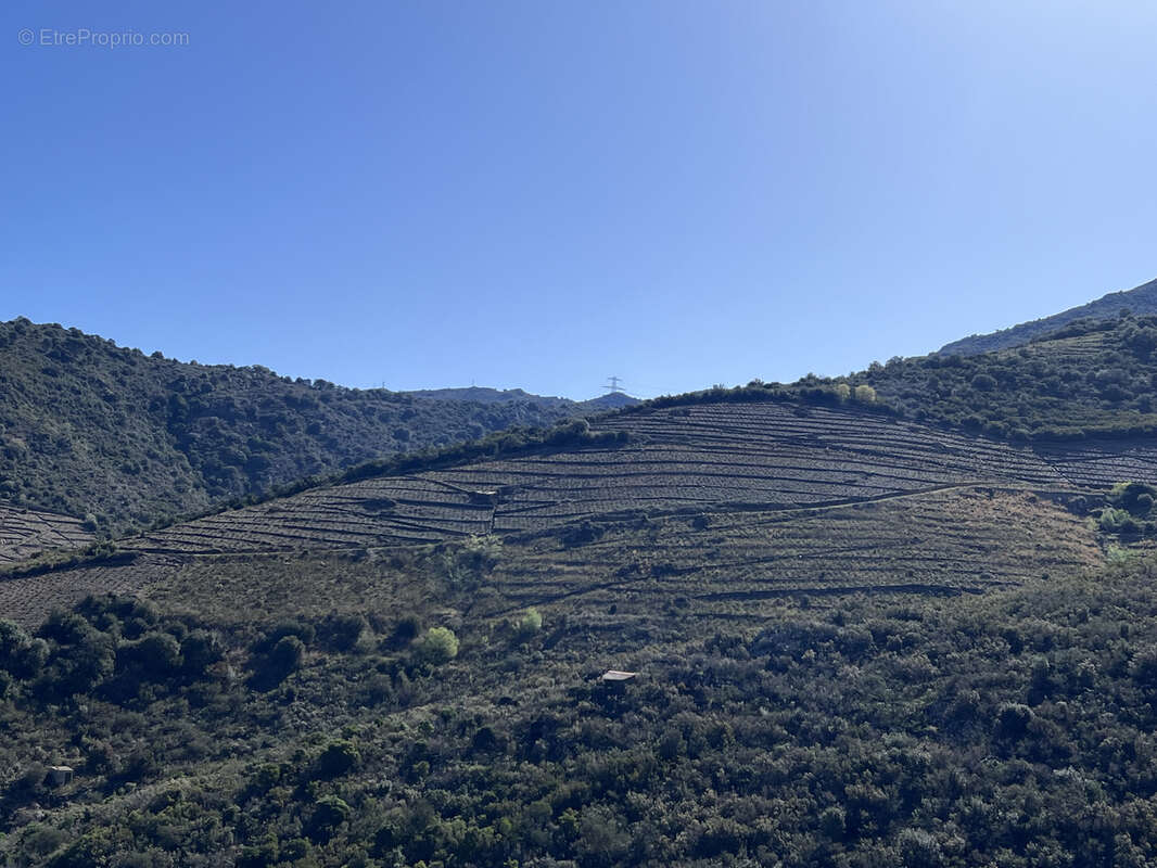Terrain à BANYULS-SUR-MER