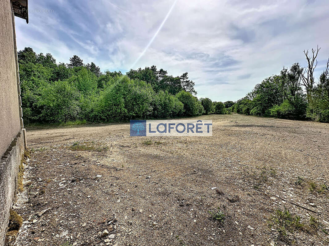 Terrain Doulaincourt Saucourt 23530 m² - photo 4
