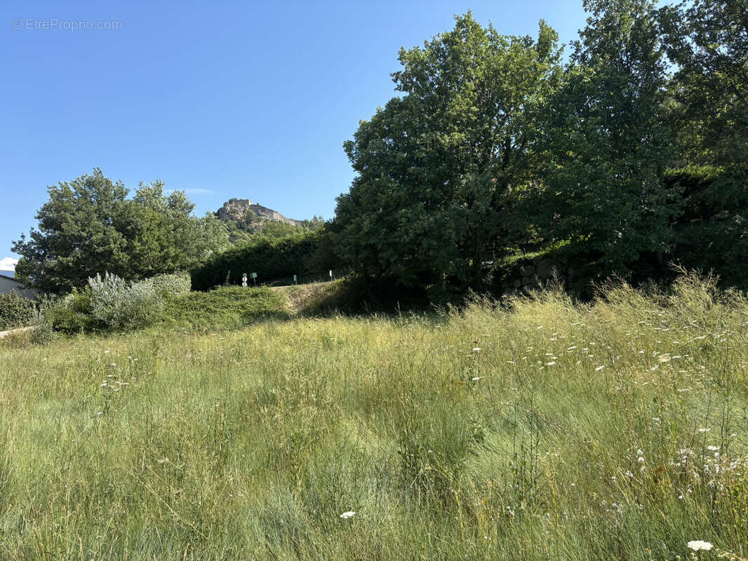 Terrain à ENTRECHAUX