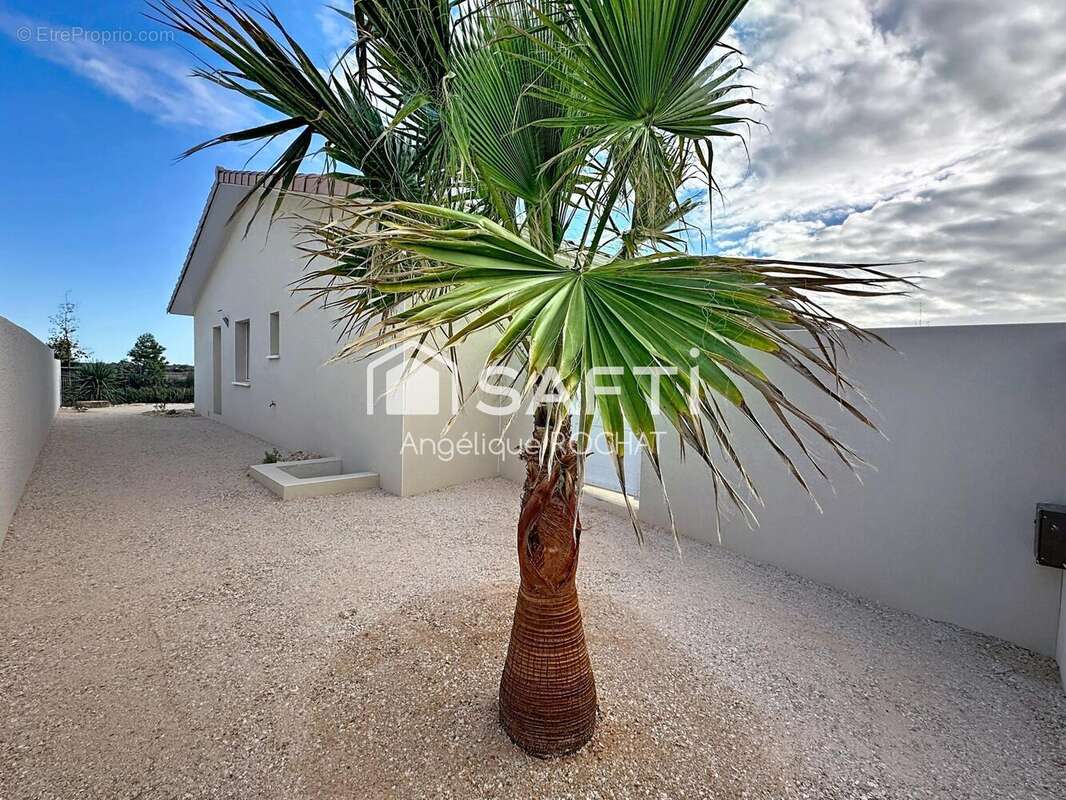 Photo 3 - Maison à PORTIRAGNES